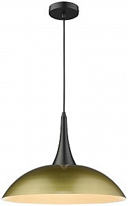 Светильник подвесной Pina WE271.01.406