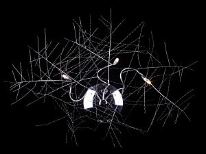 Настенное бра Velante 124-101-03