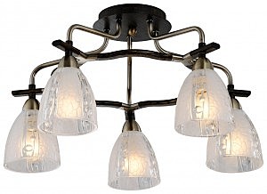 Потолочная люстра 287 287-507-05