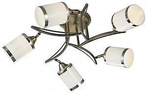 Потолочная люстра 713 713-507-05