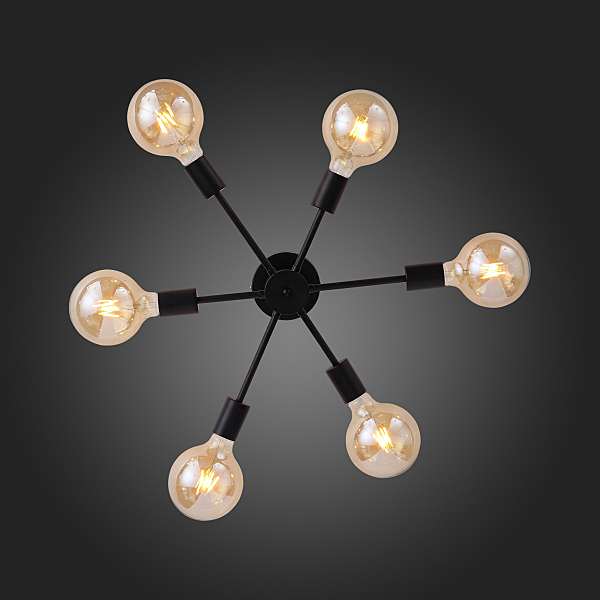 Потолочная люстра Ano SL419.402.06