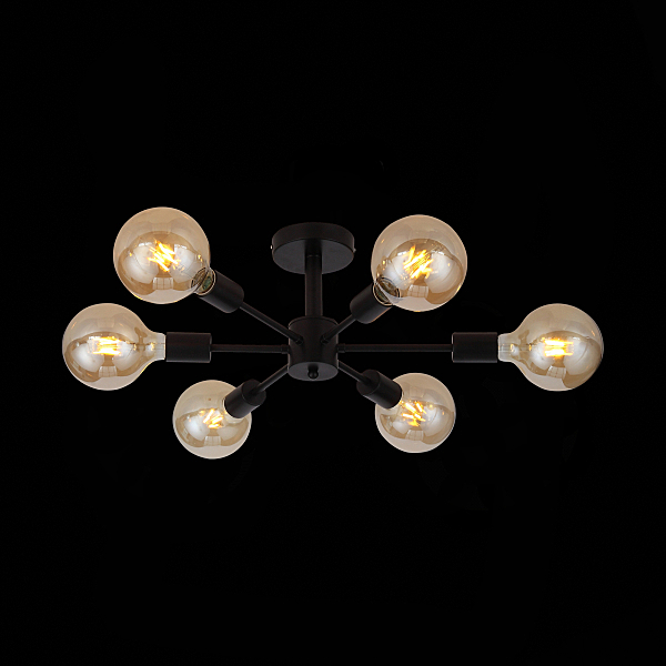 Потолочная люстра Ano SL419.402.06