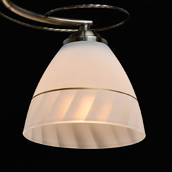 Потолочная люстра Нежность 676013705