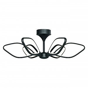 Потолочная люстра Borges 2563-6U