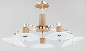 Потолочная люстра Zoa 24715