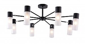 Потолочная люстра Jeam 1013/8C