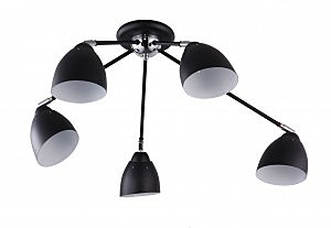 Потолочная люстра Penny 1028/5C