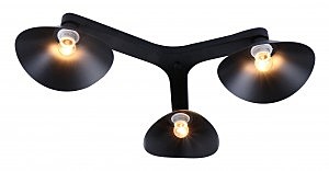 Потолочная люстра Colin 1745/3C