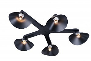 Потолочная люстра Colin 1745/5C