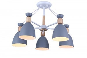 Потолочная люстра Homer 2364/5C