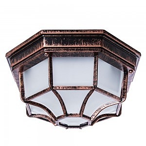 Уличные потолочные Pegasus A3100PL-1AC