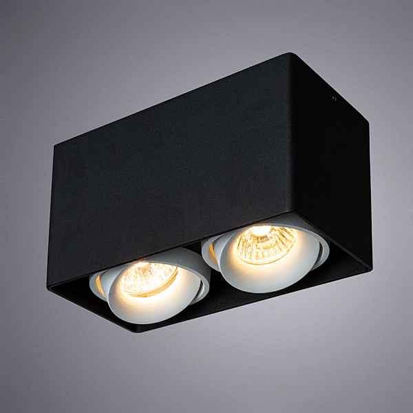 Накладной светильник Pictor A5654PL-2BK