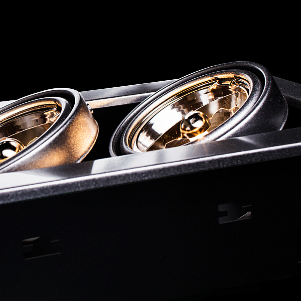 Карданный светильник Cardani A5930PL-2SI