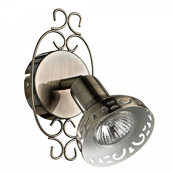 Светильник спот Arte Lamp FOCUS A5219AP-1BR