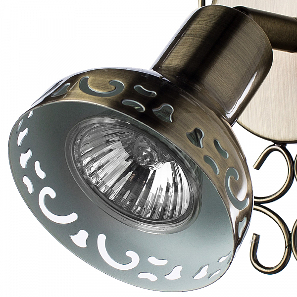 Светильник спот Arte Lamp FOCUS A5219AP-1BR