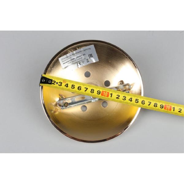 Потолочная люстра Grosotto OML-24907-05