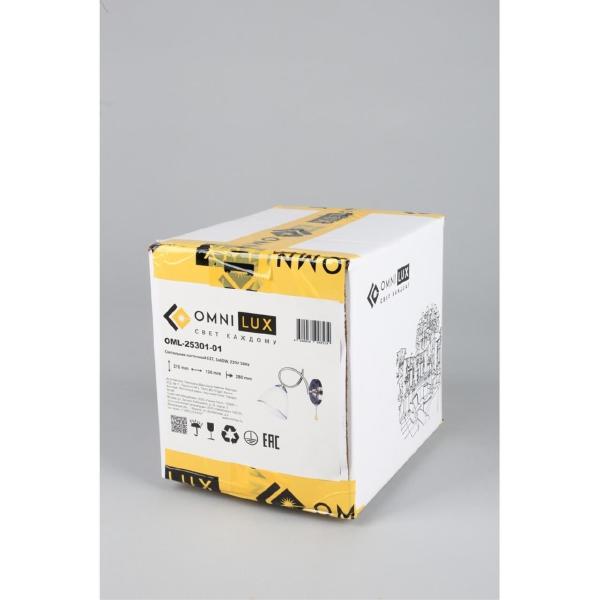 Настенное бра Alimini OML-25301-01
