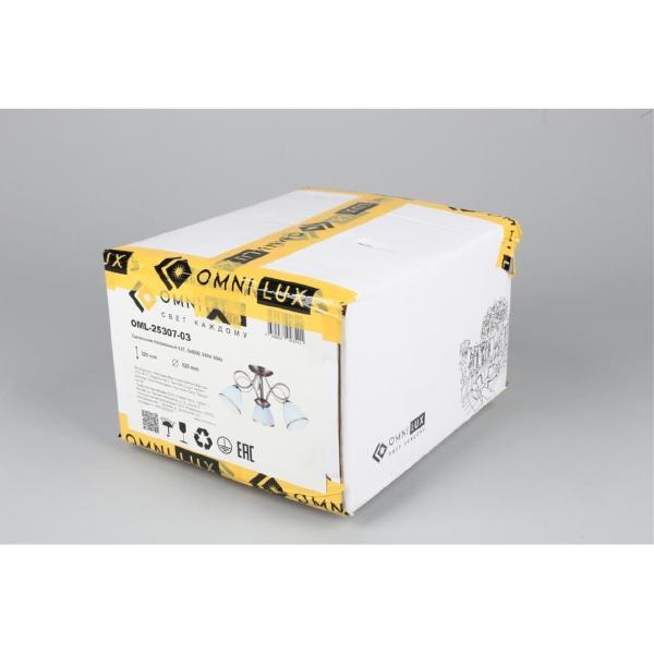 Потолочная люстра Alimini OML-25307-03