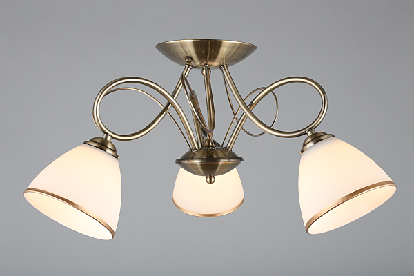 Потолочная люстра Alimini OML-25307-03