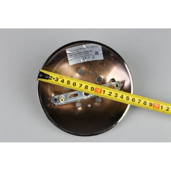 Потолочная люстра Alimini OML-25307-05