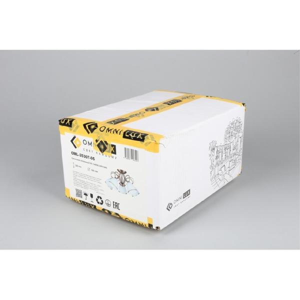 Потолочная люстра Alimini OML-25307-05