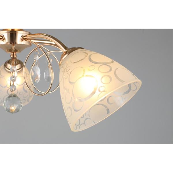 Потолочная люстра Castellaro OML-29007-05