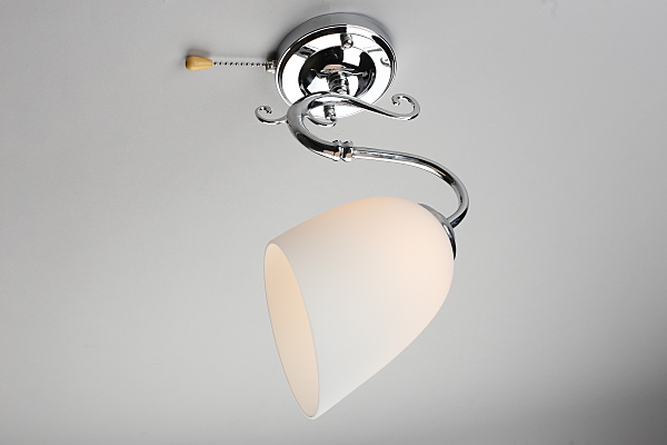 Настенное бра Leonessa OML-29101-01