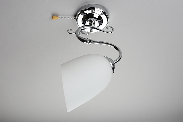 Настенное бра Leonessa OML-29101-01