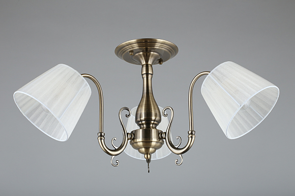 Потолочная люстра Leonessa OML-29117-03