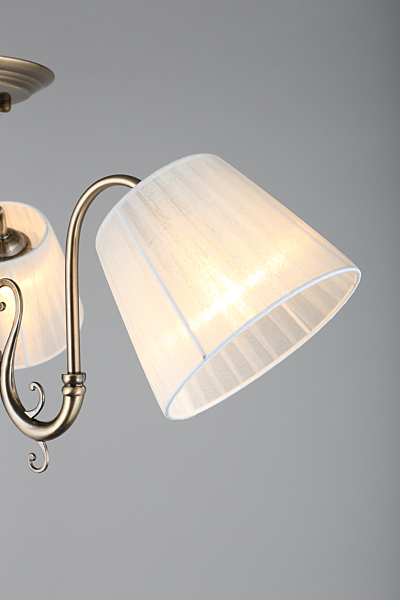 Потолочная люстра Leonessa OML-29117-03