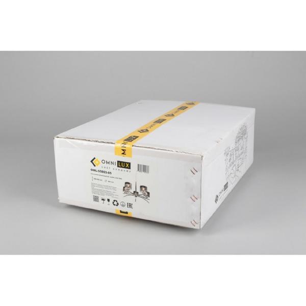 Подвесная люстра Alassio OML-55803-05