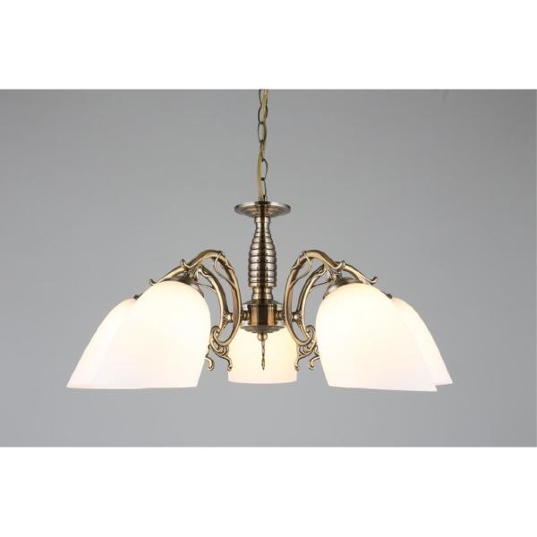 Подвесная люстра Tellaro OML-56407-05