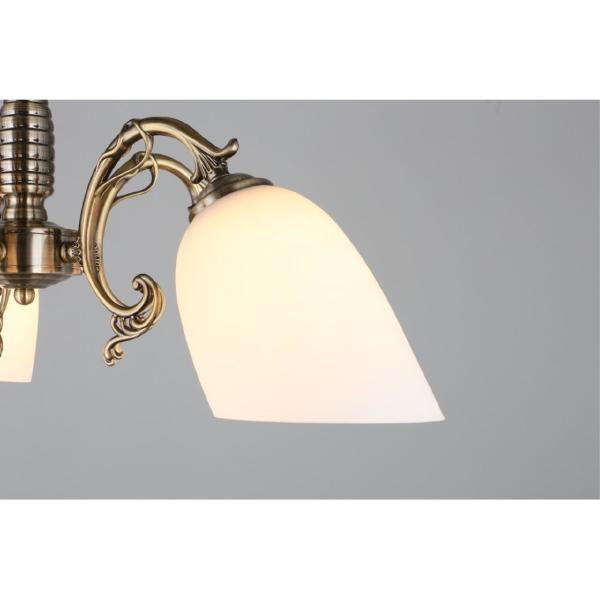 Подвесная люстра Tellaro OML-56407-05