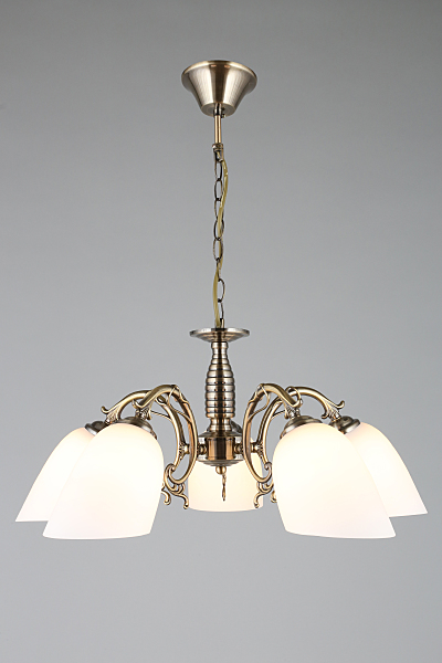 Подвесная люстра Tellaro OML-56407-05