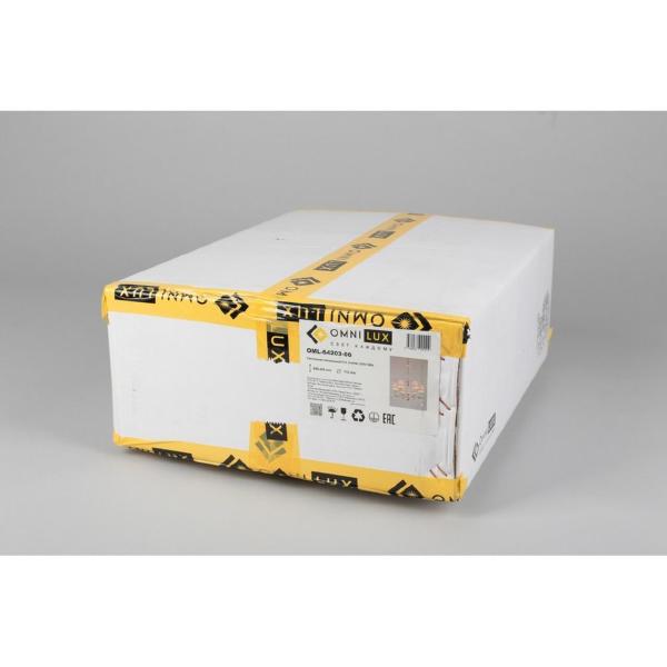 Потолочная люстра Rivoli OML-64203-06