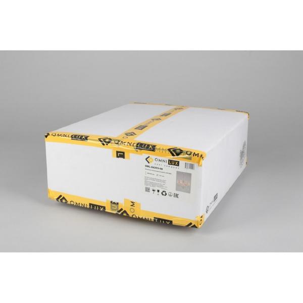 Потолочная люстра Rivoli OML-64203-08