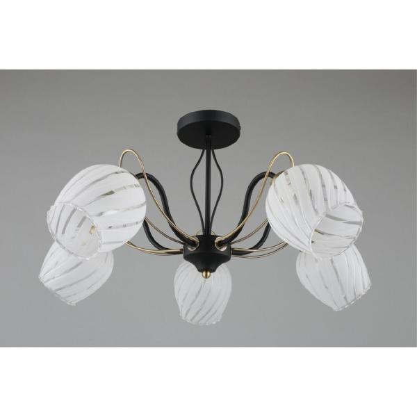 Потолочная люстра Garda OML-65507-05