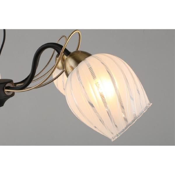 Потолочная люстра Garda OML-65507-05