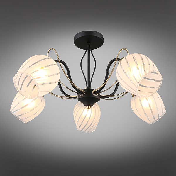 Потолочная люстра Garda OML-65507-05