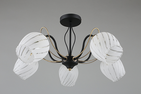 Потолочная люстра Garda OML-65507-05