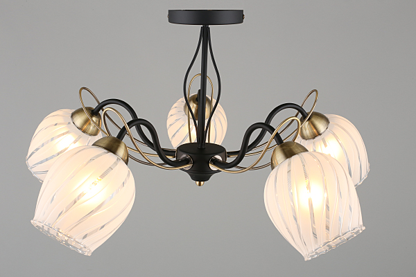 Потолочная люстра Garda OML-65507-05