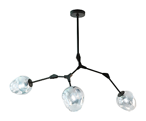 Потолочная люстра Нисса 07512-3,19(05)