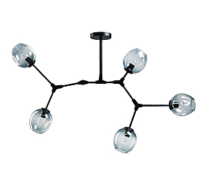 Потолочная люстра Нисса 07512-5,19(05)