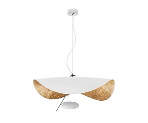 Светильник подвесной Вилен 07646-1,01