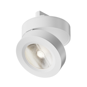 Трековый светильник Magic Unity TR006-1-12W3K-W4K