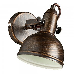 Светильник спот Arte Lamp MARTIN A5213AP-1BR