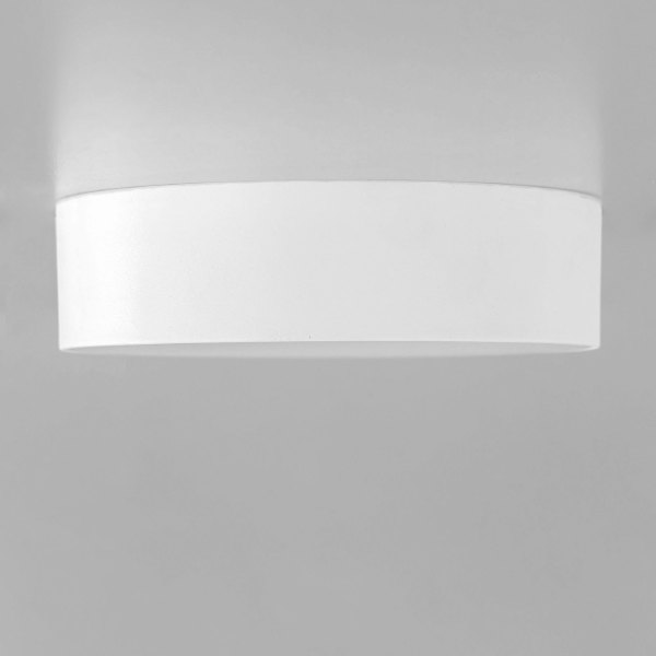 Светильник потолочный Тао CL712120N