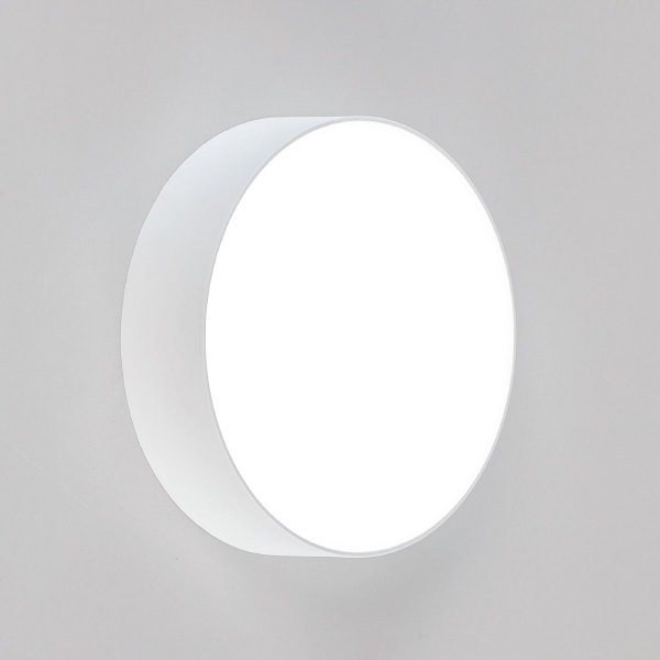 Светильник потолочный Тао CL712120N