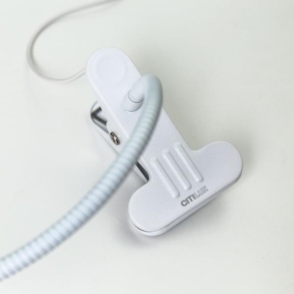 Настольная лампа Ньютон CL803070N