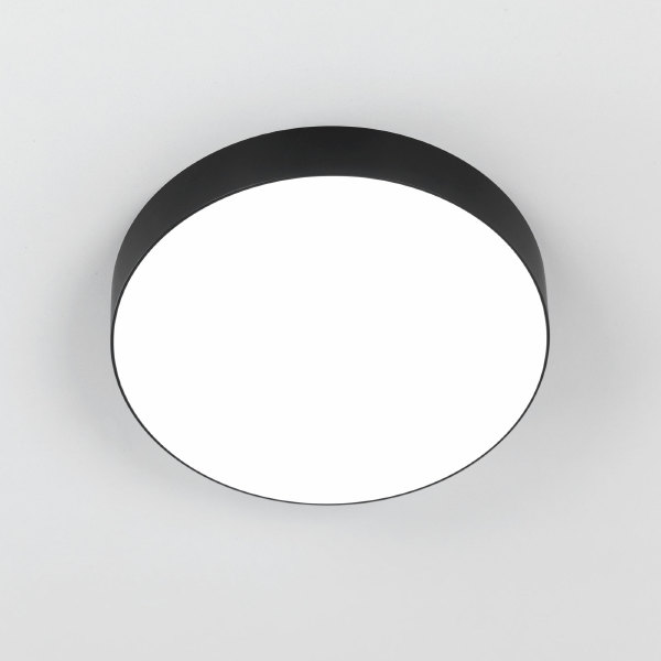 Светильник потолочный Тао CL712242N